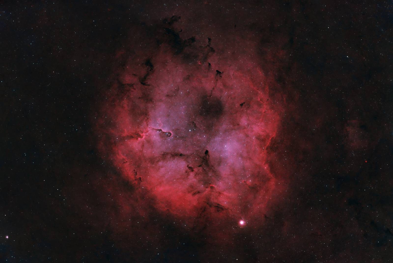 Elephant’s Trunk Nebula
