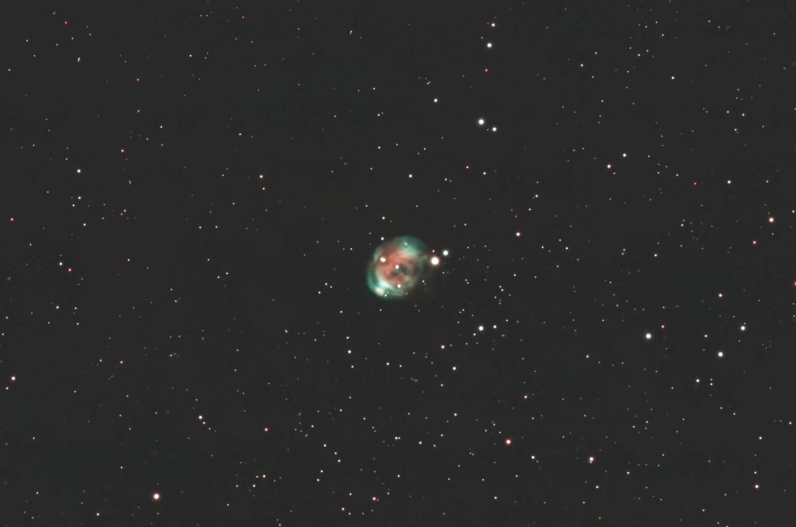Fetus Nebula