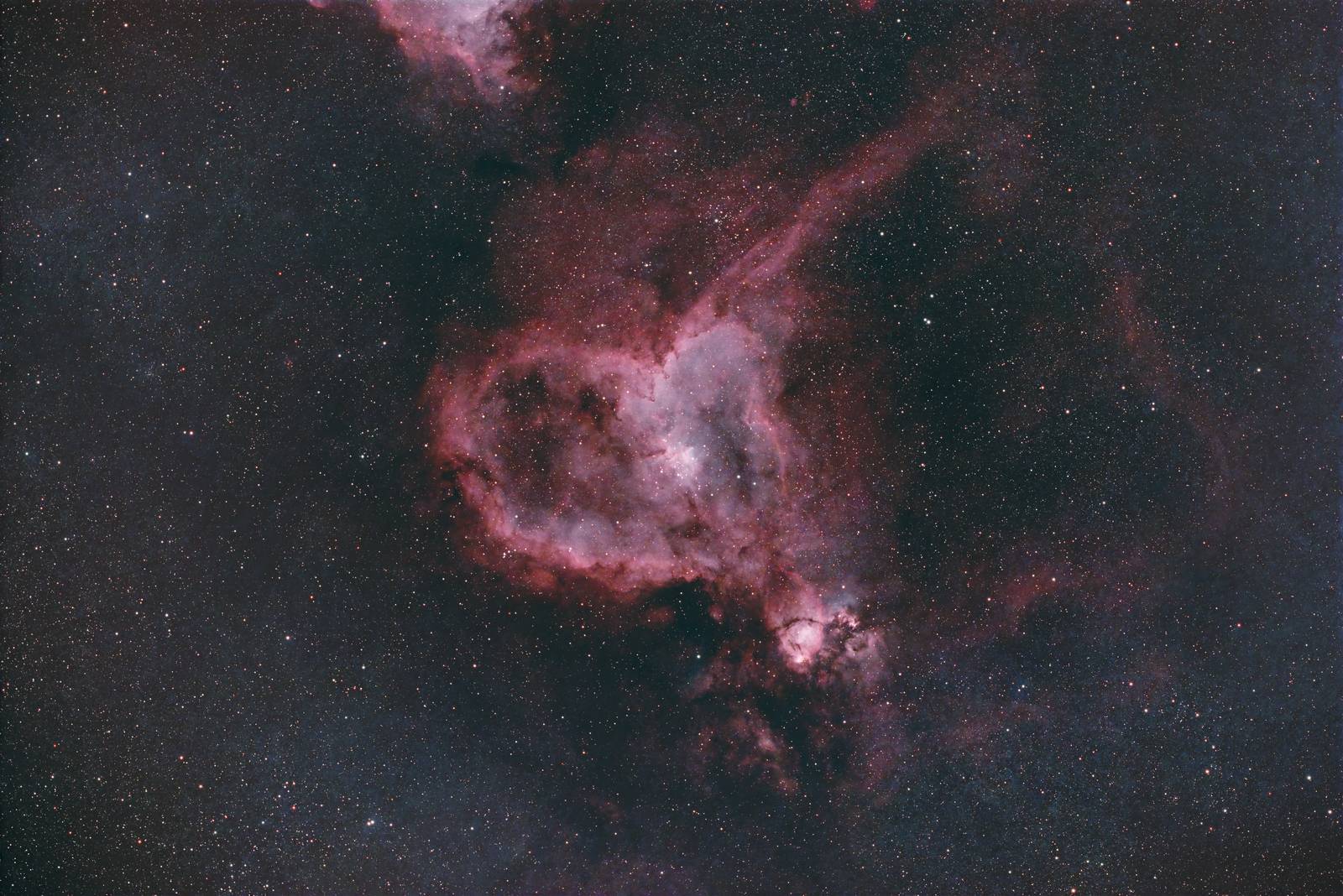 Heart Nebula