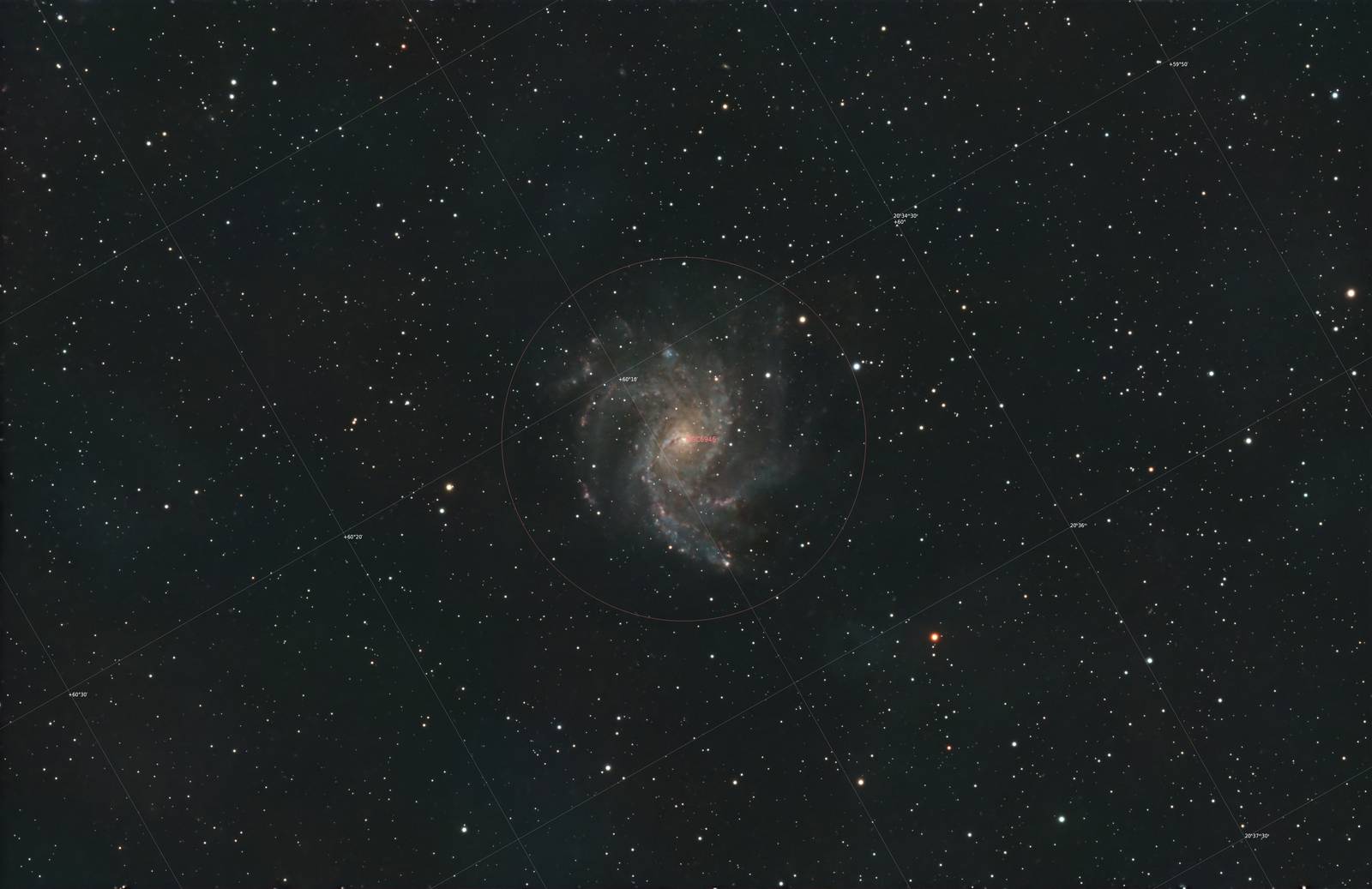 Annotated image for Fireworks Galaxy