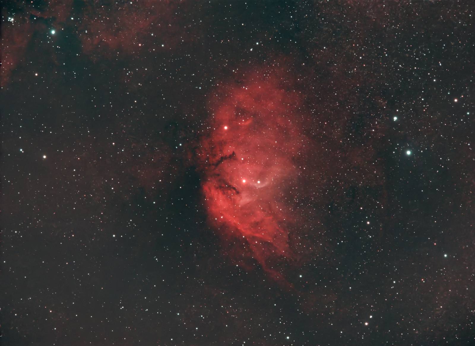 Cygnus Star Cloud