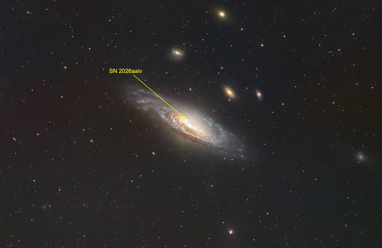 Annotated image for Deer Lick Group
